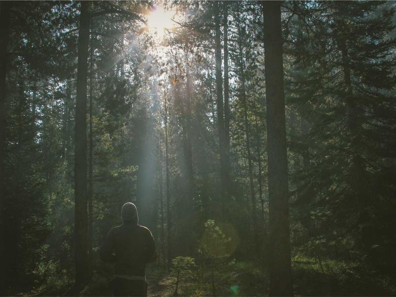 宿醉解药<br>zhfggmp.cn 番茄汁加盐方